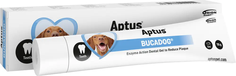 Aptus Bucadog vet hammasgeeli