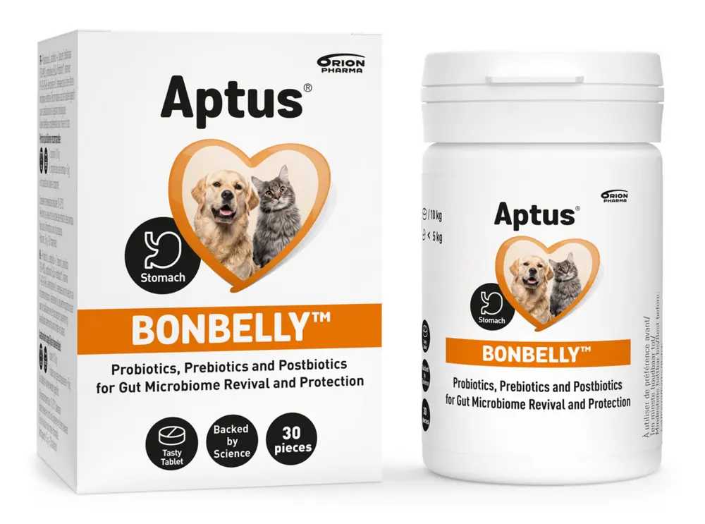 Aptus Bonbelly